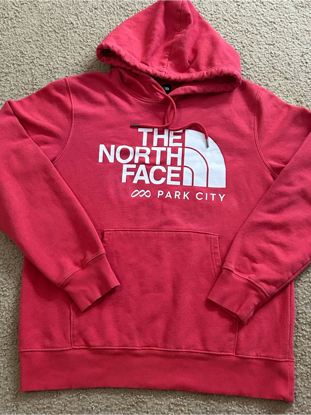The North Face Men's Half Dome Pullover Park City Hoodie Red Medium